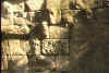 plmur3.jpg (19538 octets)