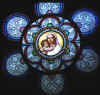 pvrosace.jpg (33508 octets)